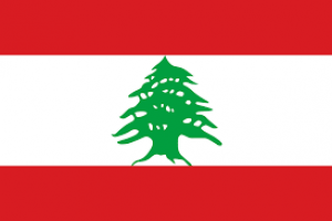 Convention between Italy and Lebanon for the avoidance of double taxation.