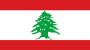 Convention between Italy and Lebanon for the avoidance of double taxation.